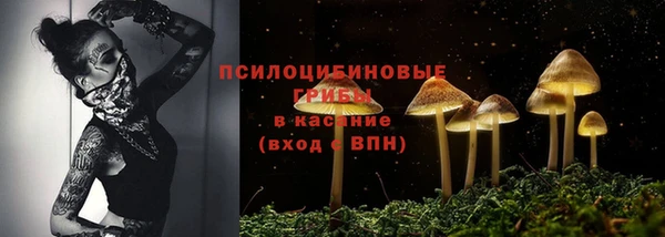 спиды Липки