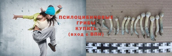 спиды Липки