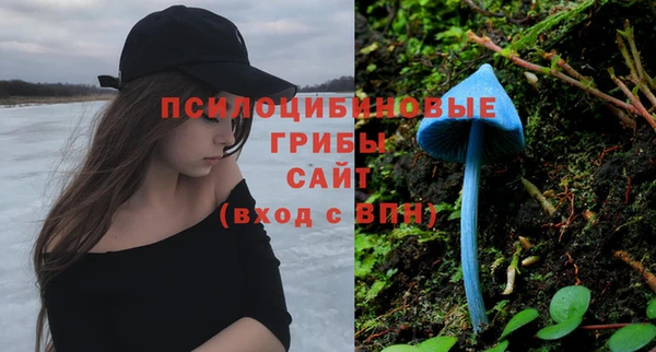 соль ск Лиски