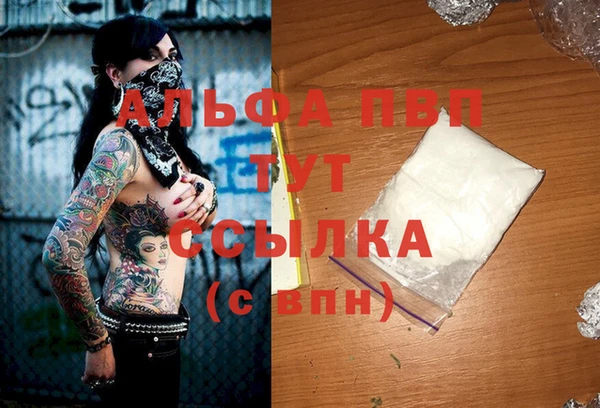 спиды Липки