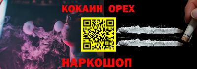 крисы Моздок