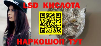 крисы Моздок