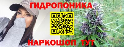 герыч Можга