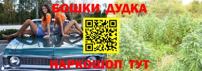 крисы Моздок