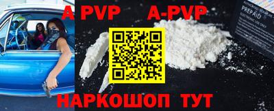 крисы Моздок