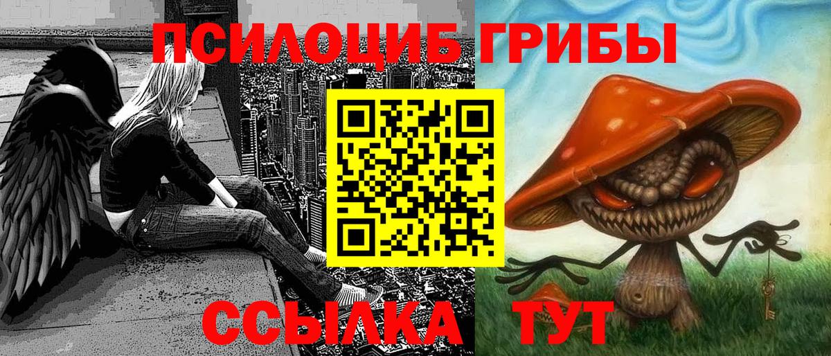 Каннабис  А ПВП СК   Cocaine  ЭКСТАЗИ  Меф МЯУ МЯУ кристаллы  ГАШ  Тулун  Наркошоп  Вход с VPN 