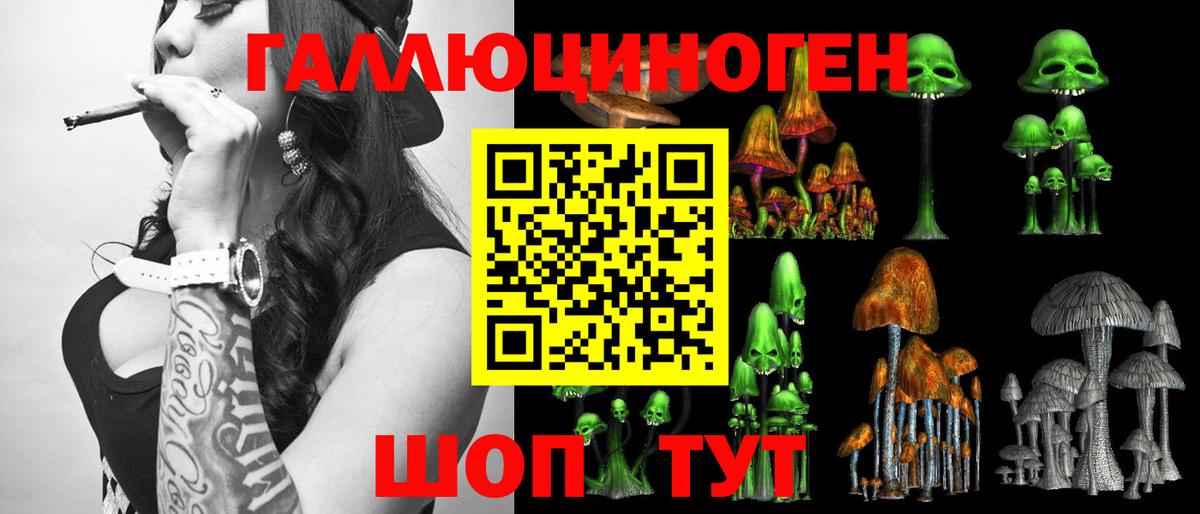Псилоцибиновые грибы Psilocybe  Галлюциногенные грибы мицелий  Вход с VPN  Тулун 